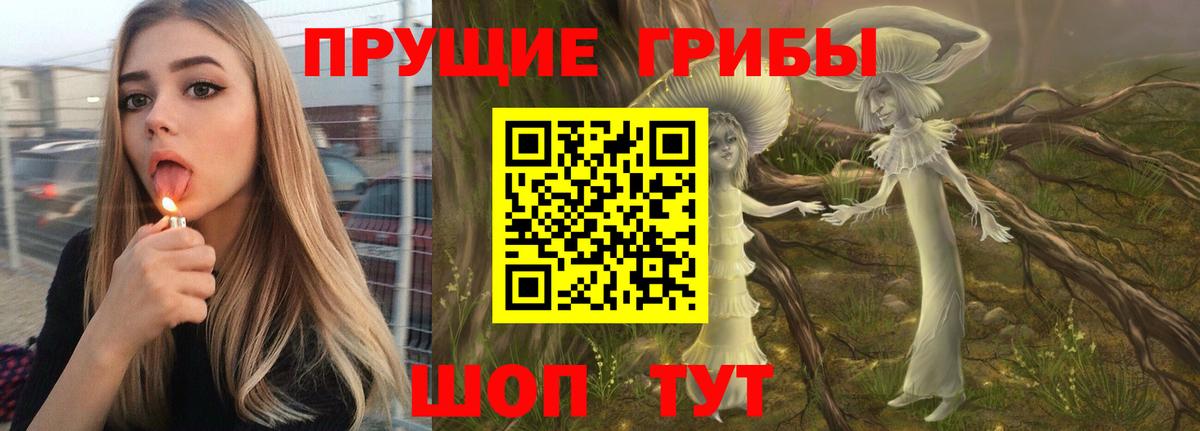 Лесной  Псилоцибиновые грибы GOLDEN TEACHER  Вход с VPN 